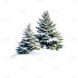 冬天通用写实落雪松树元素
