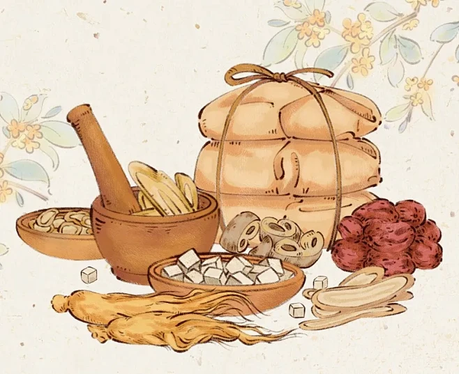 手绘传统中医中药材汤药插画图片下载-花瓣网