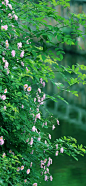 #摄影（风景-山水-建筑）#