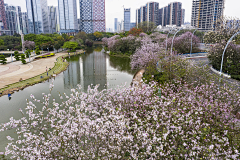 熊喵333采集到滨水空间