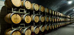 葡萄酒酒庄背景 页面网页 平面电商 创意素材 png图片