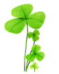 手绘水彩卡通绿色四叶草花卉透明免抠PNG图案 PS装饰合成设计素材 (95)