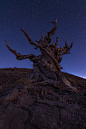 Photograph Celestial by David Thompson on 500px