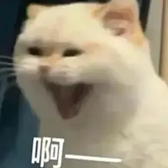 淘气！撒娇表情包大放送！