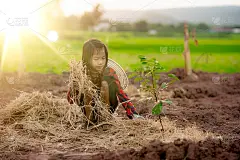 农村农场有机菜园里，孩子们拿着稻草种树