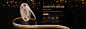 Company Overview - Shenzhen Lumimore Lighting Co., Ltd.