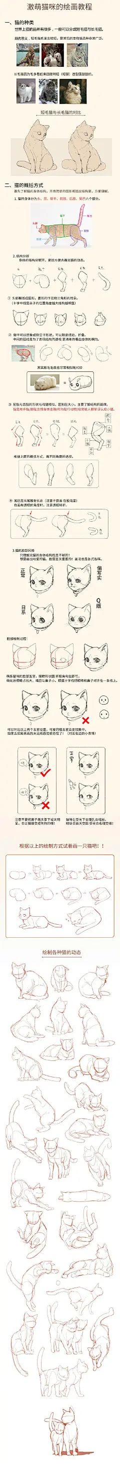 【绘画教程】如何画一只激萌可爱的猫咪？（动物教程）
现在很多人当起了铲屎官
只能说明猫咪真的太可爱了

如果画一只可爱的喵呢
今天我们就来学习一下吧
这个教程总的来说比较详细
除了讲解猫的种类、猫的画法
还有提供一些常见的猫的姿势喔

小伙伴们可以练习起来
也可以参考以前分享的内容
“寿司”猫、猫咪拟人、猫的舞姿、画猫
猫科动物的绘画教程、动漫猫的画法

画师 / 小天
图片来源 / @战翼CG文化教育