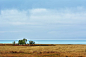 Qinghai Lake