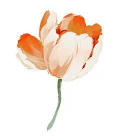 诗情画意的美，一组有着古风与古典之美的花朵人物手绘插画图片，独自欣赏或者做PPT都是不错的素材呢。（来源见图片水印）
