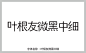 叶根友微黑中细字体 中文字体 字体库 免费 叶根友字体 字体设计网 行书字体 字体安装 叶根友微黑中细字体打包下载 艺术字体在线生成 设计 书法字体 艺术字体 pop字体 字体大全 草书字体 手写字体 在线字体 