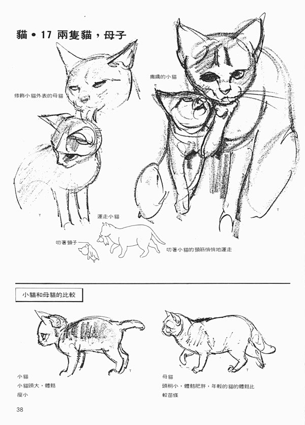 动物的画法日本漫画手绘技法经典教程 速写...
