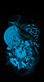 ILUSTRANDO on Behance