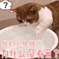 画 - 斗图表情包 - 斗图啦 - doutula.com