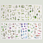 Knaid Watercolor Stickers Set (Assorted 600+ Pieces, 36 Sheets) - Decorative Sticker for Scrapbooking, Kid DIY Arts Crafts, Album, Bullet Journaling, Junk Journal, Planners, Calendars and Notebook