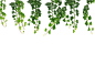 hanging_vines_png_by_moonglowlilly-d67pawc