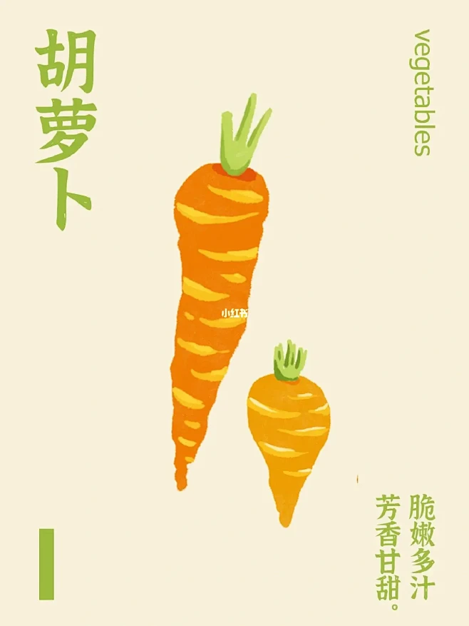 原创插画✨今天吃什么～美味蔬菜主题