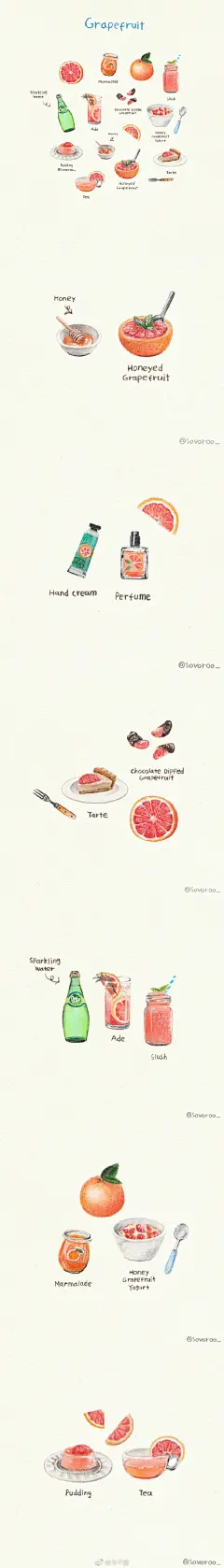  插画 | 美食系列 


西瓜 西柚 蛋糕 果汁 抹茶 咖啡˶⚈Ɛ⚈˵♡
INS：sovoroo_  插画超话水彩超话 ​​​​