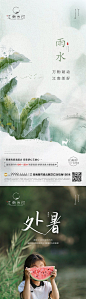 雨水处暑节气海报