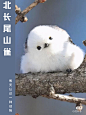 来自分享