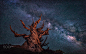 Milky Way at White Mountain by Lara Koo on 500px