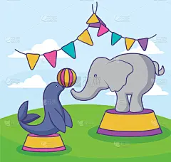 象,马戏团,海豹,可爱的,华丽的,野生动物,哺乳纲,自然美,站