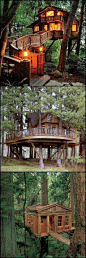 More ideas below: Amazing Tiny treehouse kids Architecture Modern Luxury treehouse interior cozy Backyard Small treehouse masters Plans Photography How To Build A Old rustic treehouse Ladder diy Treeless treehouse design architecture To Live In Bar Cabin