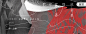 3398092.jpg (1080×432)