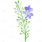 水彩风-手绘植物花卉贴纸-花卉