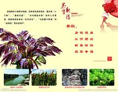 贺卡内页大图 点击还原