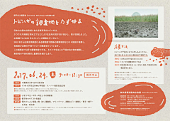 默罕默德山采集到单张