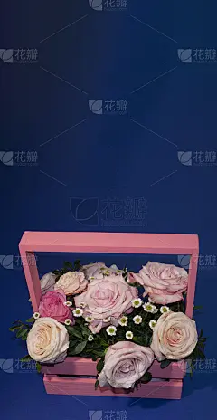 明信片模板，复制speys-粉红色玫瑰在一个篮子在蓝色的背景