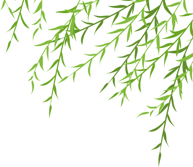 柳枝