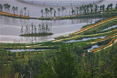 虫声泣露_采集到· Landscape | 场地 | 滨水景观