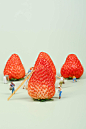 foodphotography Foodstagram Photography  Preiser vegetables 创意摄影 小人国 微距 美食 静物