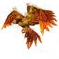 10422224_640x640_0.jpg (500×500)