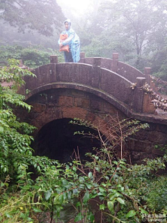 pistolman采集到<黄山游记>  雨中漫