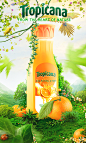 Tropicana : advertising for a juice agency.non commercial work.