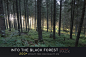 Into the Black Forest CREATIVE PACK, Robin Lhebrard : "Into the Black Forest" photo pack is now available on both my Artstation and my Gumroad stores:
https://www.artstation.com/lhebrardrobin/store/JRYq/into-the-black-forest-creative-pack
https: