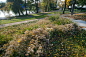 Nordhafenpark « Landscape Architecture Platform | Landezine