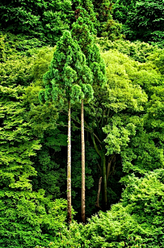 魚9ah采集到风景 /摄影