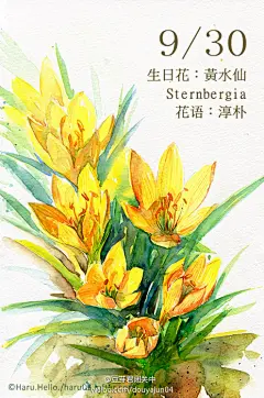 豆芽君的haru酱的微博_微博