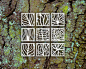 Orto Botanico : My graduating project from Instituto Europeo di Design‘s (IED) Master of Visual Communication I completed a design application to Giardino Orto Botanico di Roma, part of the Università di Sapienza‘s biology department. The scope of the pro