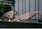酒店不锈钢雕塑商场创意五金叶子铁艺摆件城市广场美化景观艺术品-淘宝网