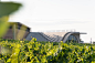 11_Lahofer_winery_-_chybik_kristof_photo_by_alex_shoots_buildings