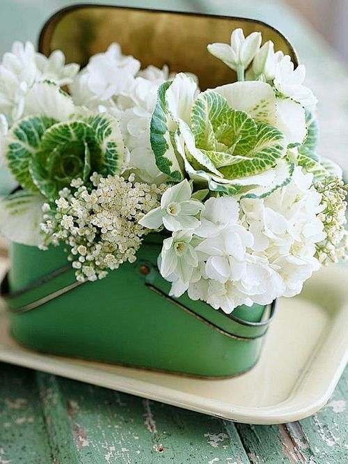 pretty little flower...