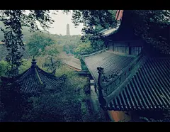 没有约定，无论你来与不来，都心甘情愿的站成磐石。