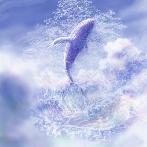 那些关于鲸鱼的插画，很唯美很温馨