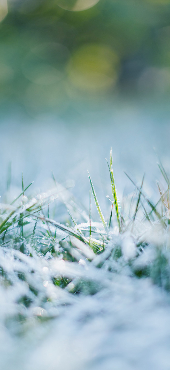 da雪节气