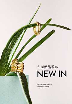 斑比斑采集到珠宝拍摄