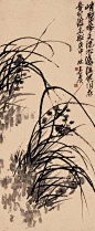 吴昌硕·兰花